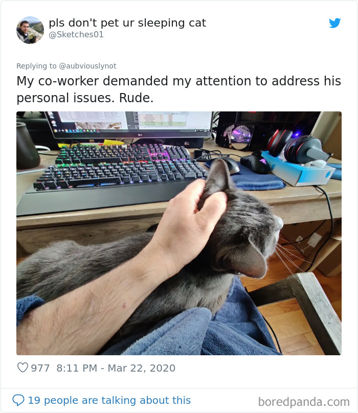 Working-From-Home-Quarantine-Pet-Co-Worker-Photos