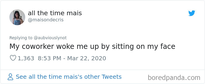 Working-From-Home-Quarantine-Pet-Co-Worker-Photos