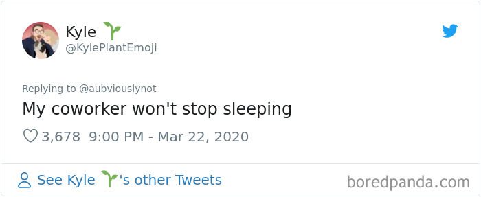 Working-From-Home-Quarantine-Pet-Co-Worker-Photos