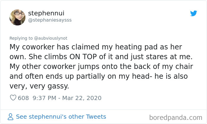 Working-From-Home-Quarantine-Pet-Co-Worker-Photos