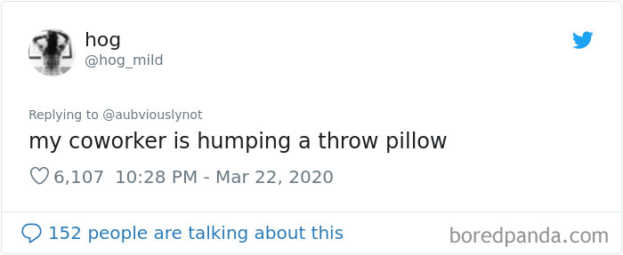 Working-From-Home-Quarantine-Pet-Co-Worker-Photos