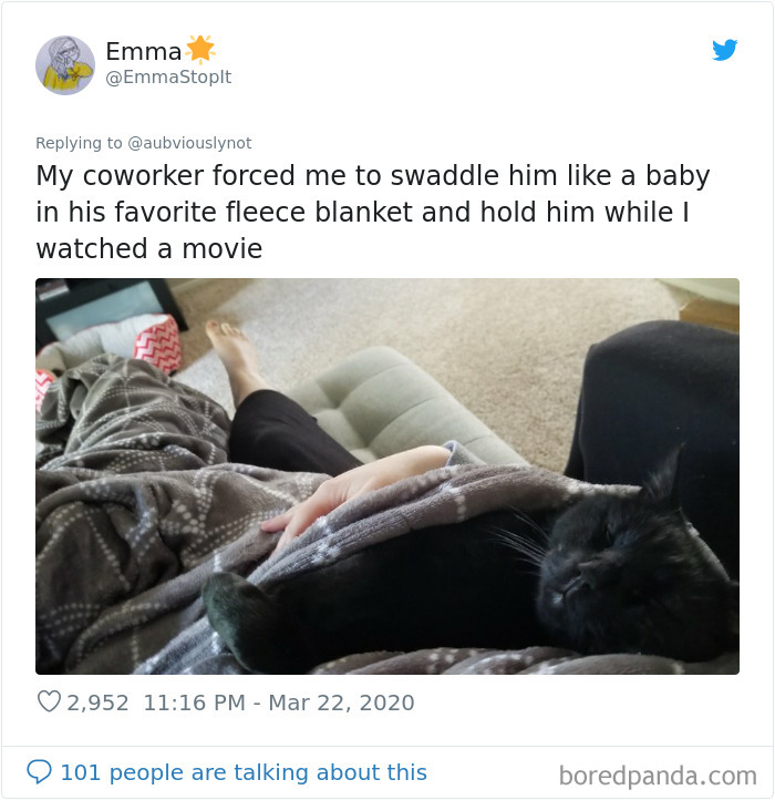 Working-From-Home-Quarantine-Pet-Co-Worker-Photos