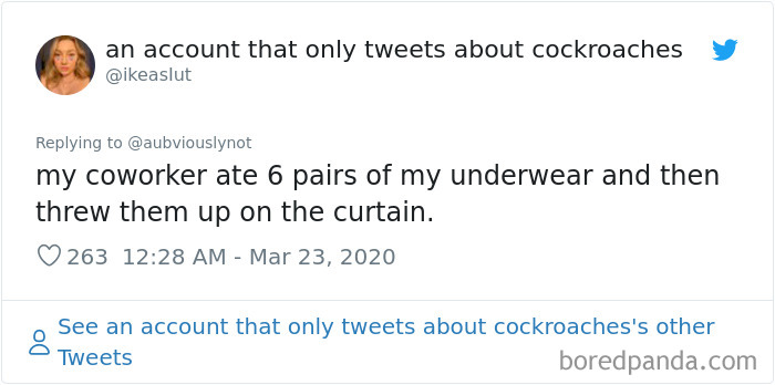 Working-From-Home-Quarantine-Pet-Co-Worker-Photos