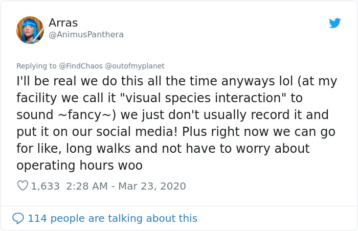 People Are Melting Over These Videos Of Zoo Animals Seeing Each Other For The First Time