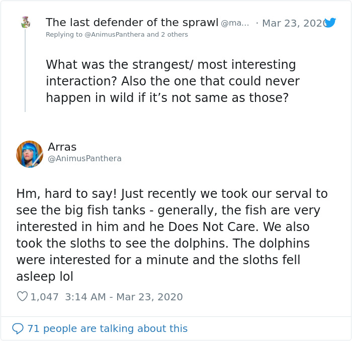 People Are Melting Over These Videos Of Zoo Animals Seeing Each Other For The First Time