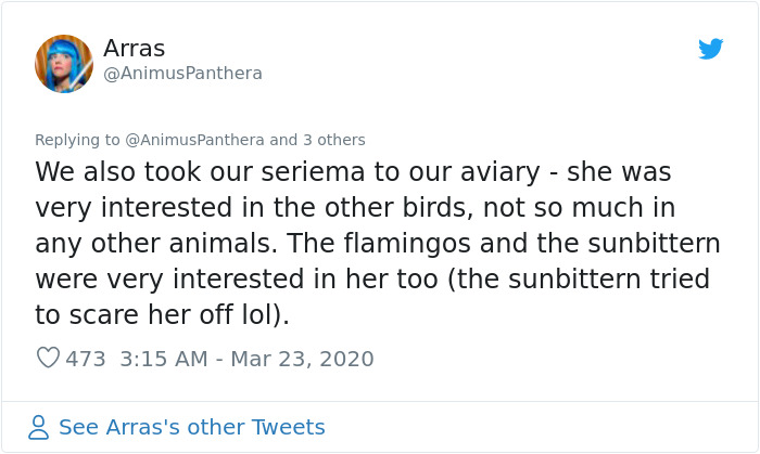 People Are Melting Over These Videos Of Zoo Animals Seeing Each Other For The First Time