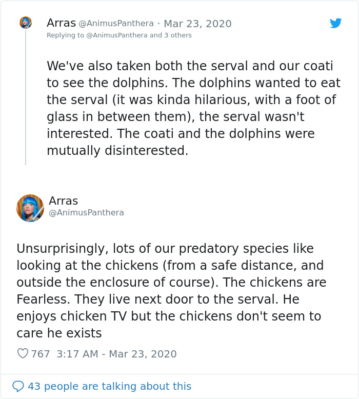 People Are Melting Over These Videos Of Zoo Animals Seeing Each Other For The First Time