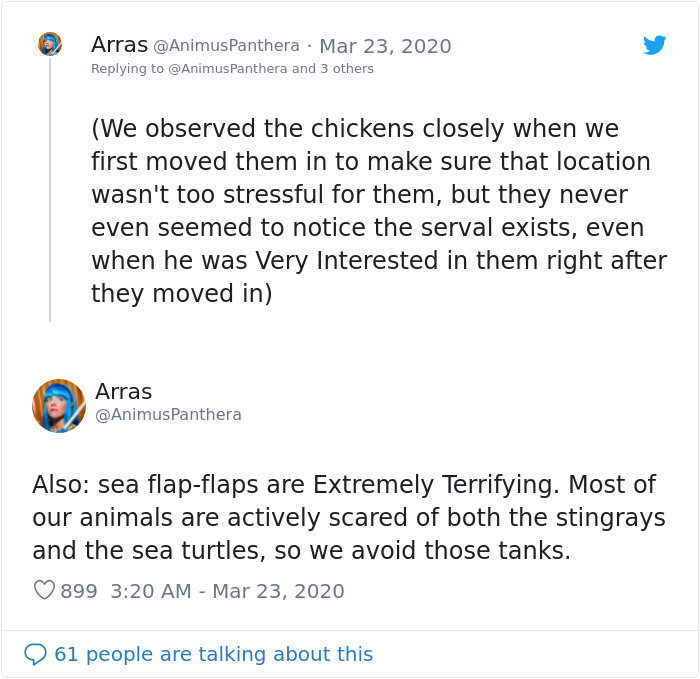 People Are Melting Over These Videos Of Zoo Animals Seeing Each Other For The First Time People Are Melting Over These Videos Of Zoo Animals Seeing Each Other For The First Time