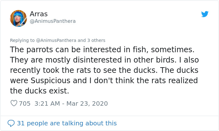 People Are Melting Over These Videos Of Zoo Animals Seeing Each Other For The First Time