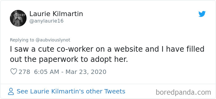 Working-From-Home-Quarantine-Pet-Co-Worker-Photos