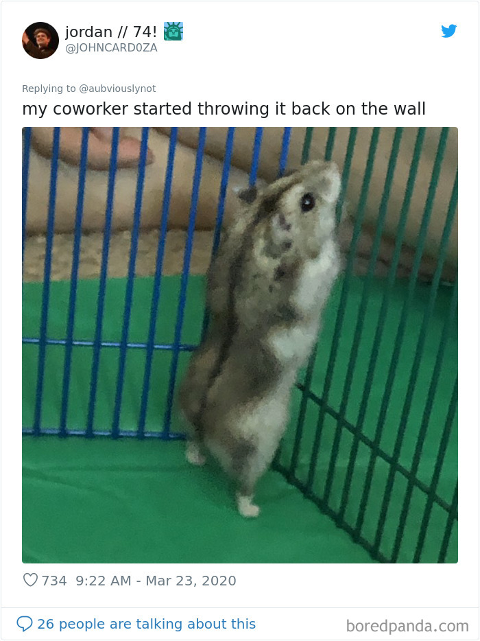 Working-From-Home-Quarantine-Pet-Co-Worker-Photos