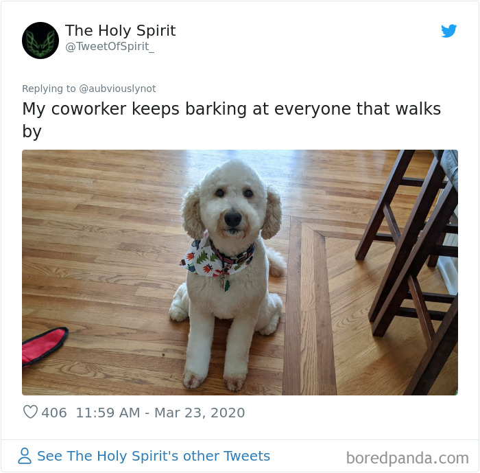 Working-From-Home-Quarantine-Pet-Co-Worker-Photos