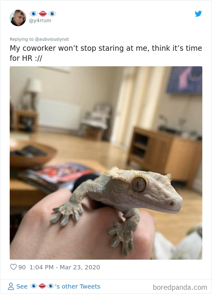 Working-From-Home-Quarantine-Pet-Co-Worker-Photos