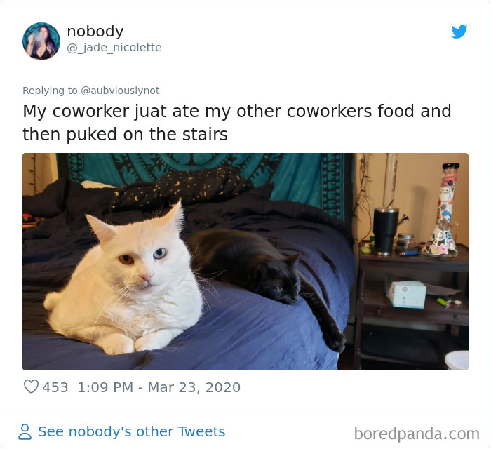 Working-From-Home-Quarantine-Pet-Co-Worker-Photos