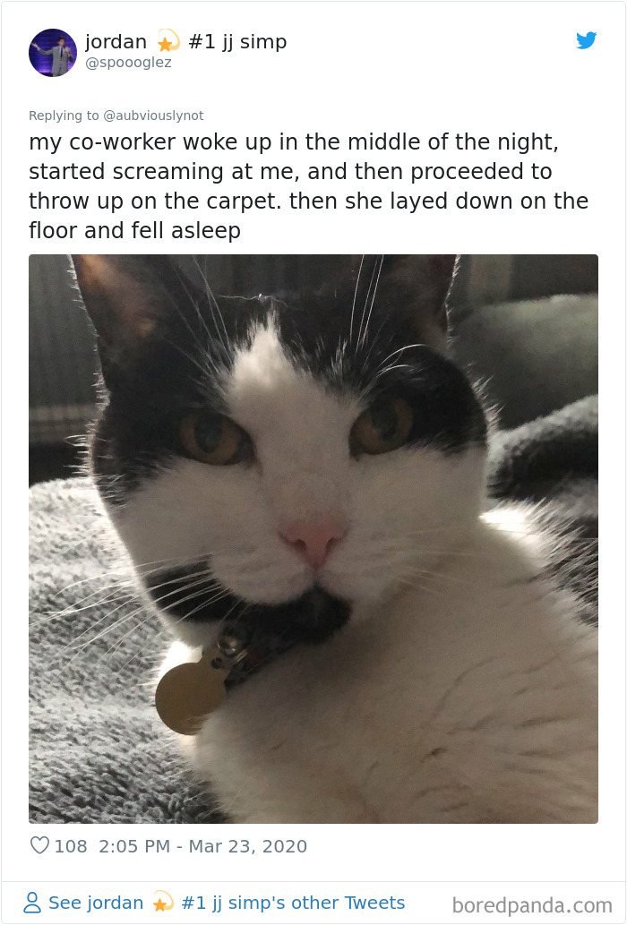 Working-From-Home-Quarantine-Pet-Co-Worker-Photos