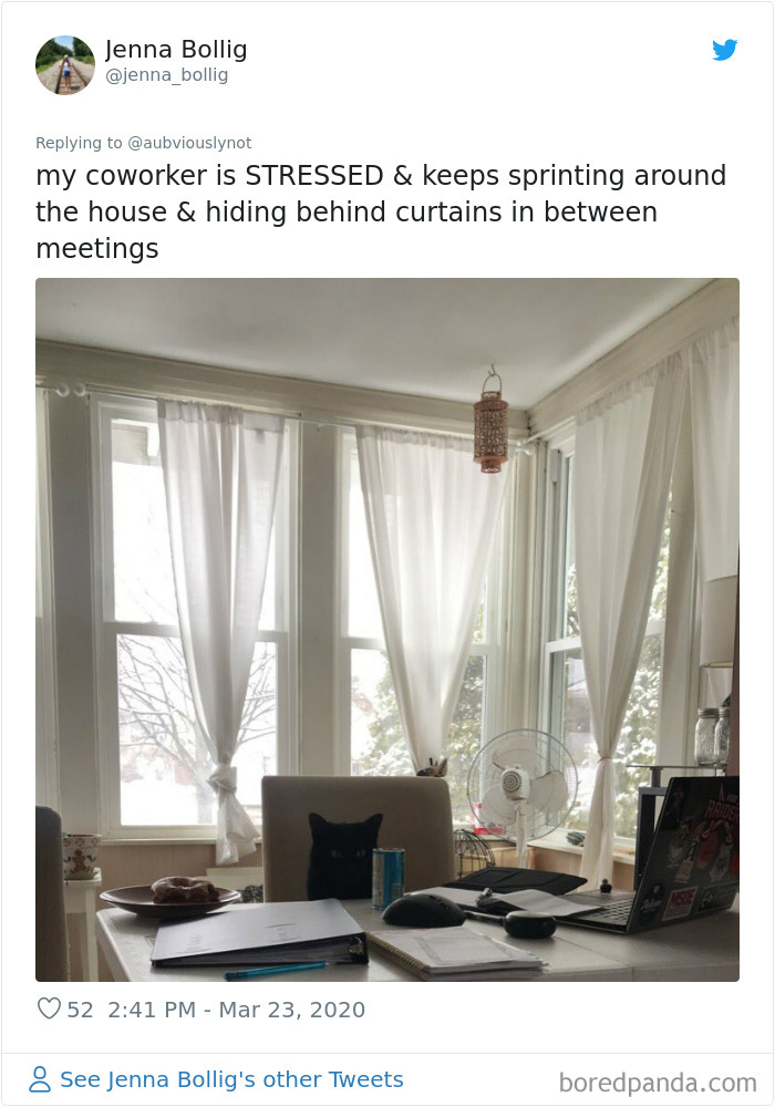 Working-From-Home-Quarantine-Pet-Co-Worker-Photos