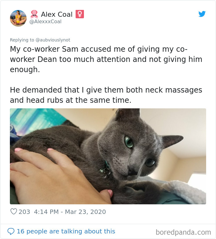 Working-From-Home-Quarantine-Pet-Co-Worker-Photos