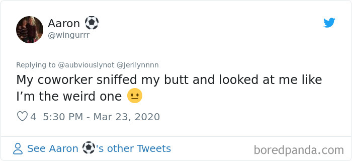 Working-From-Home-Quarantine-Pet-Co-Worker-Photos