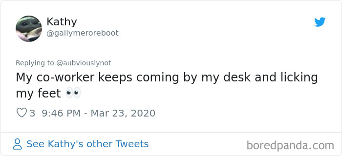 Working-From-Home-Quarantine-Pet-Co-Worker-Photos