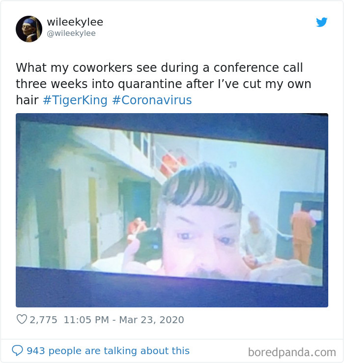 Video call meme inspired by Tiger King, featuring a funny quarantine haircut scenario.