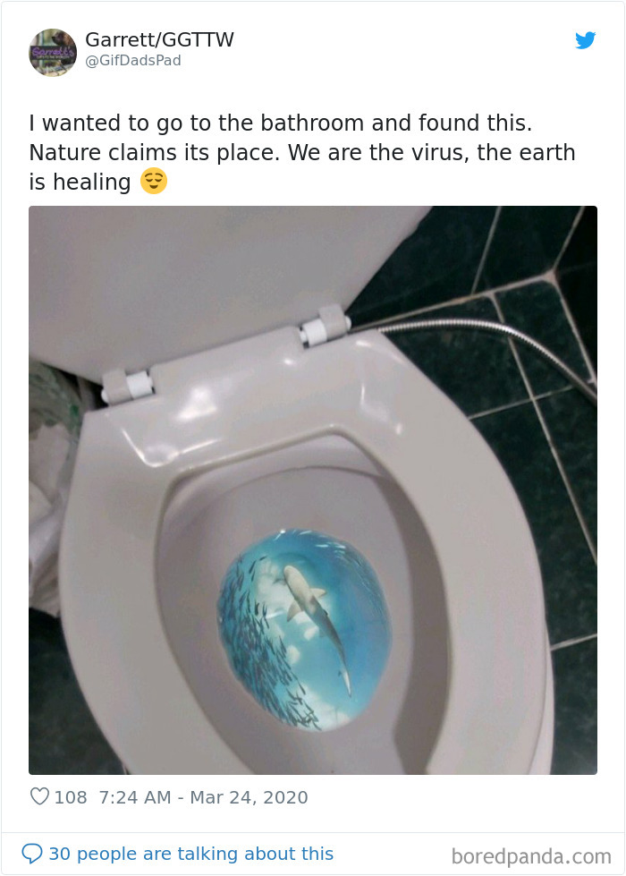 Nature-Healing-Quarantine-Jokes