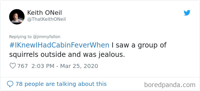 Funny-Knew-I-Had-Cabin-Fever-When-Tweets-Jimmy-Fallon