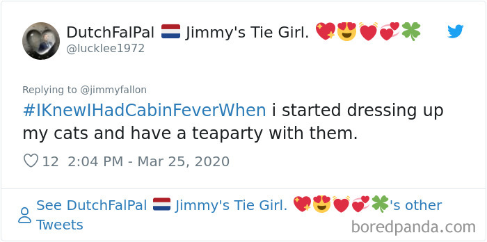 Funny-Knew-I-Had-Cabin-Fever-When-Tweets-Jimmy-Fallon