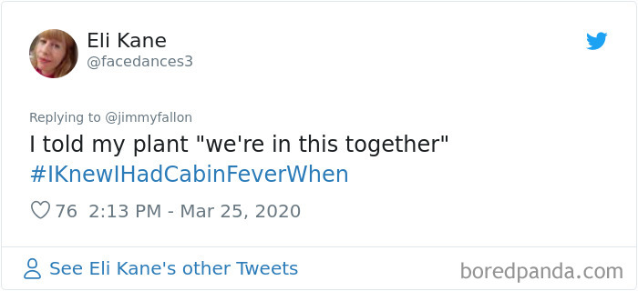 Funny-Knew-I-Had-Cabin-Fever-When-Tweets-Jimmy-Fallon