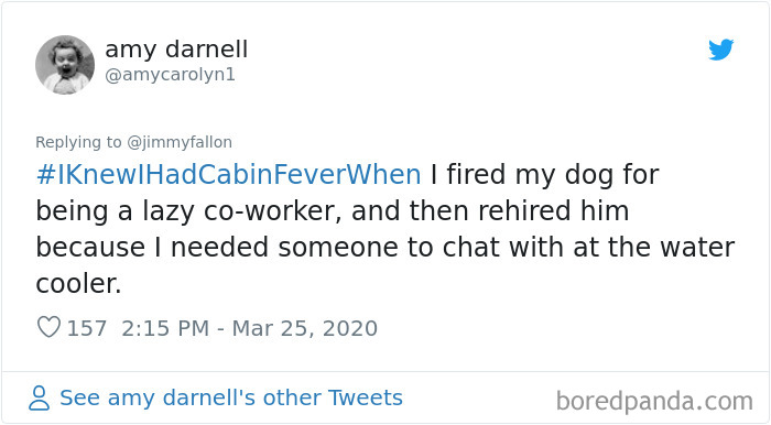 Funny-Knew-I-Had-Cabin-Fever-When-Tweets-Jimmy-Fallon