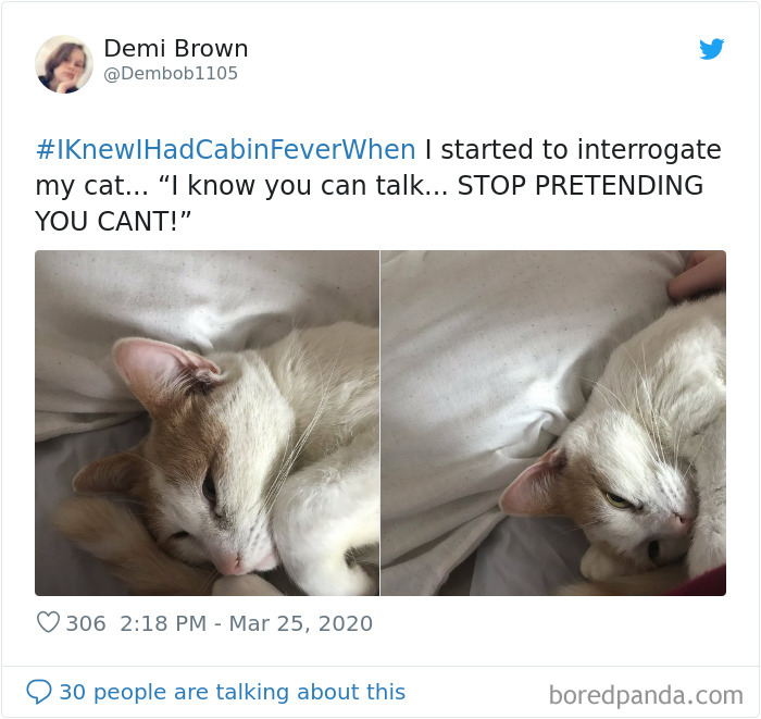 Funny-Knew-I-Had-Cabin-Fever-When-Tweets-Jimmy-Fallon