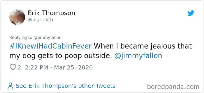 Funny-Knew-I-Had-Cabin-Fever-When-Tweets-Jimmy-Fallon