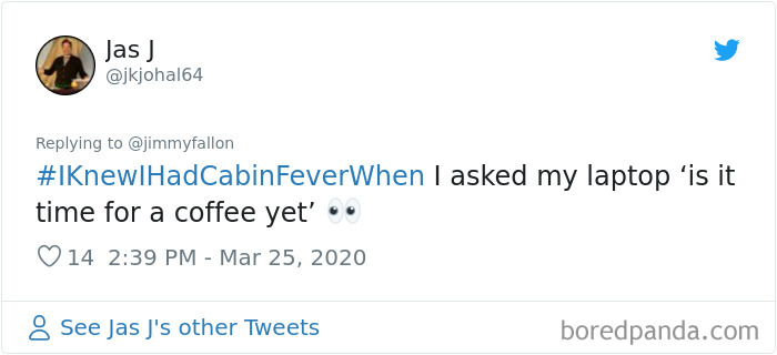 Funny-Knew-I-Had-Cabin-Fever-When-Tweets-Jimmy-Fallon