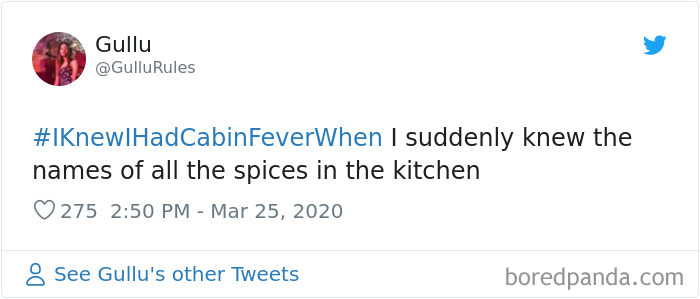 Funny-Knew-I-Had-Cabin-Fever-When-Tweets-Jimmy-Fallon