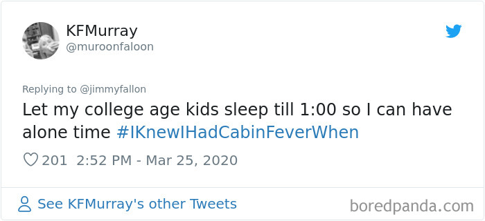 Funny-Knew-I-Had-Cabin-Fever-When-Tweets-Jimmy-Fallon