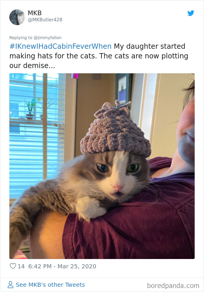 Funny-Knew-I-Had-Cabin-Fever-When-Tweets-Jimmy-Fallon