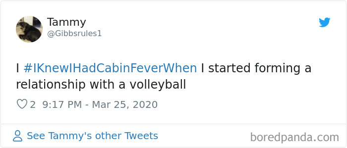 Funny-Knew-I-Had-Cabin-Fever-When-Tweets-Jimmy-Fallon