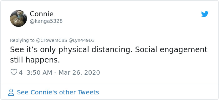 Woman Asks A Neighbor What His Cat's Name Is Via A Sign On Her Window, Receives An Answer And Cute Pics Woman Asks A Neighbor What His Cat's Name Is Via A Sign On Her Window, Receives An Answer And Cute Pics