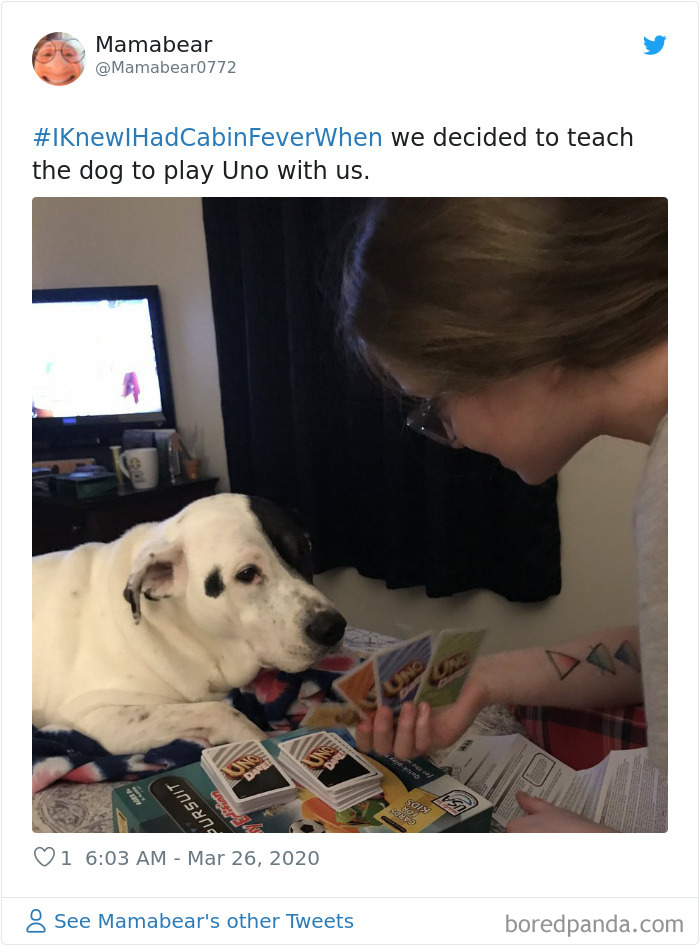 Funny-Knew-I-Had-Cabin-Fever-When-Tweets-Jimmy-Fallon