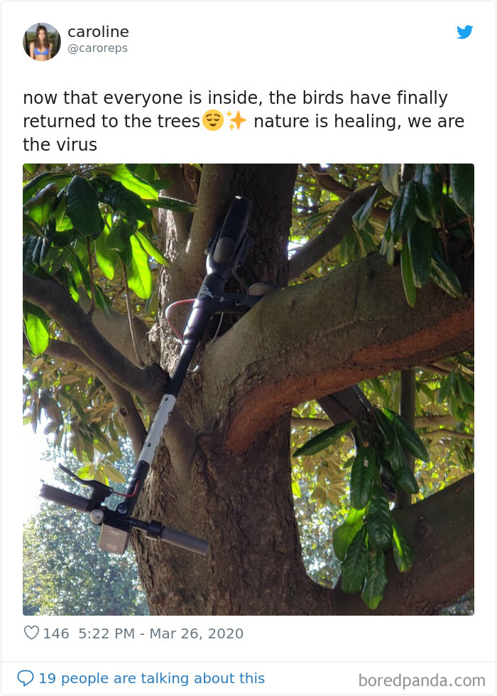 Nature-Healing-Quarantine-Jokes