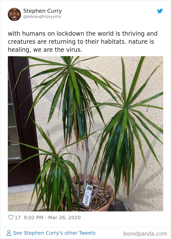 Nature-Healing-Quarantine-Jokes