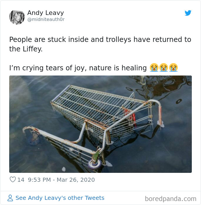 Nature-Healing-Quarantine-Jokes