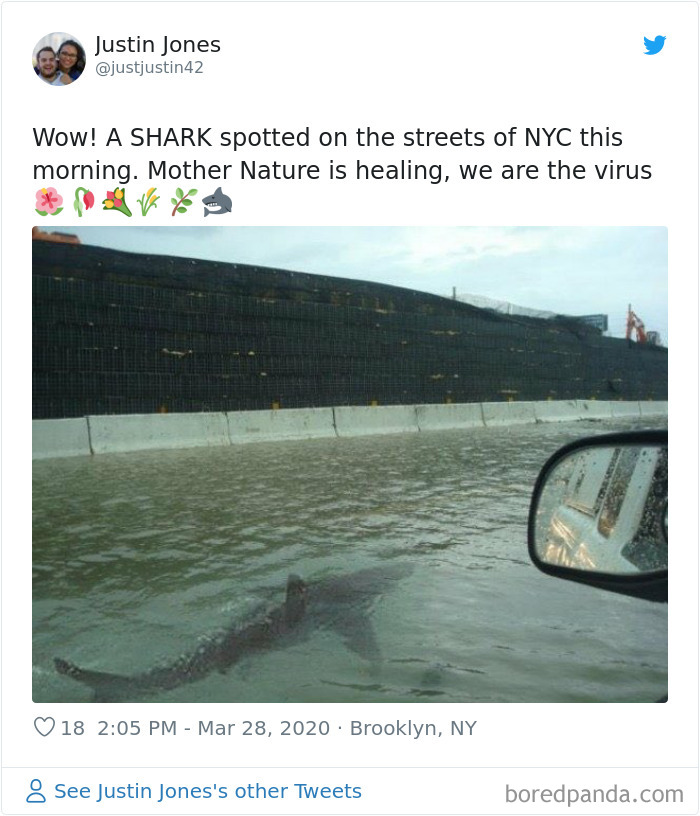 Nature-Healing-Quarantine-Jokes