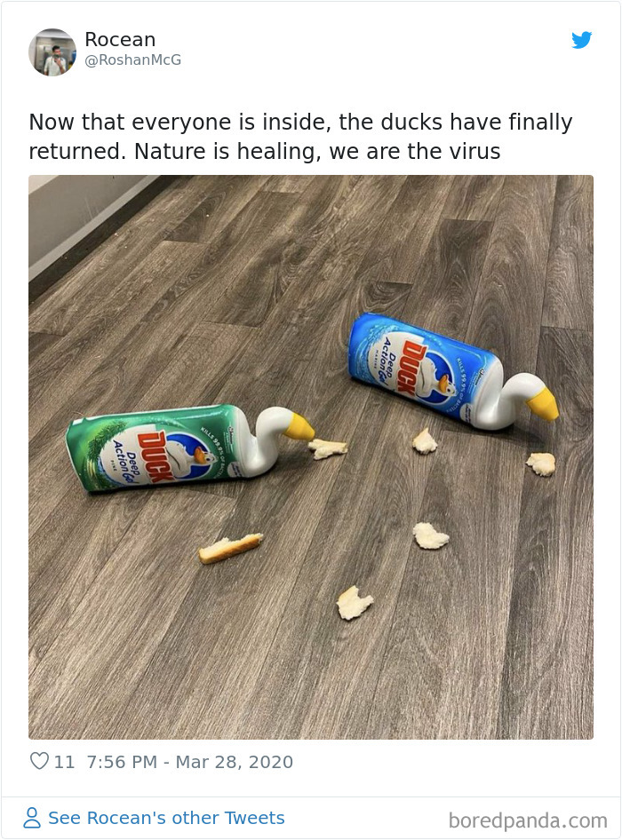 Nature-Healing-Quarantine-Jokes