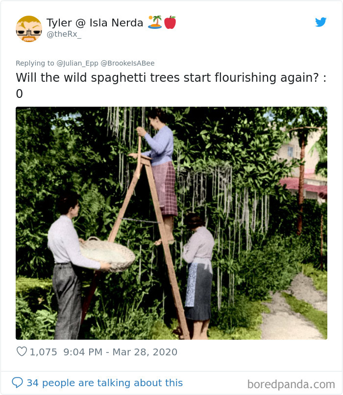 Nature-Healing-Quarantine-Jokes