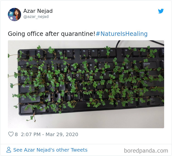 Nature-Healing-Quarantine-Jokes