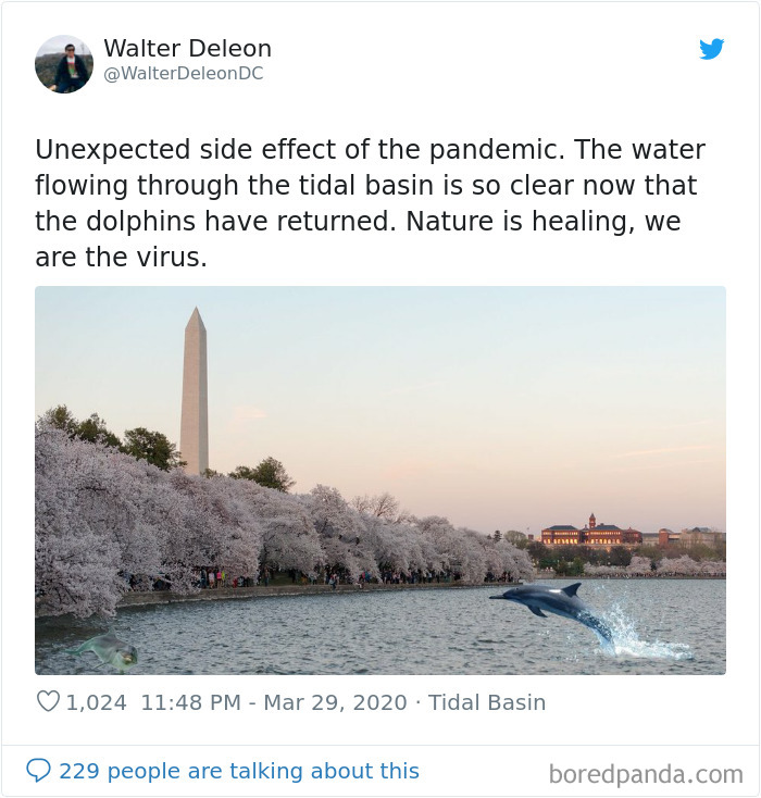 Nature-Healing-Quarantine-Jokes