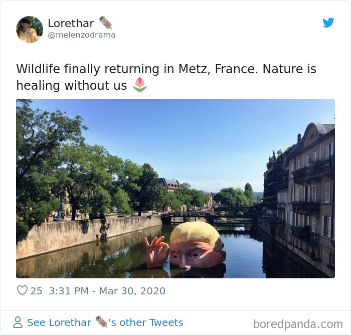 Nature-Healing-Quarantine-Jokes