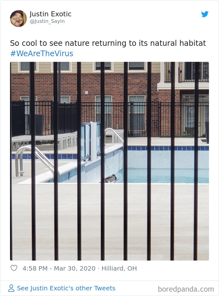 Nature-Healing-Quarantine-Jokes