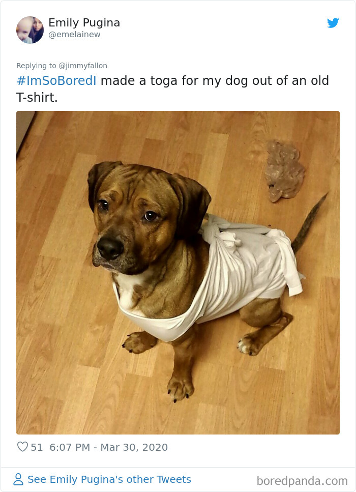 Im-So-Bored-Quarantine-Tweets-Jimmy-Fallon