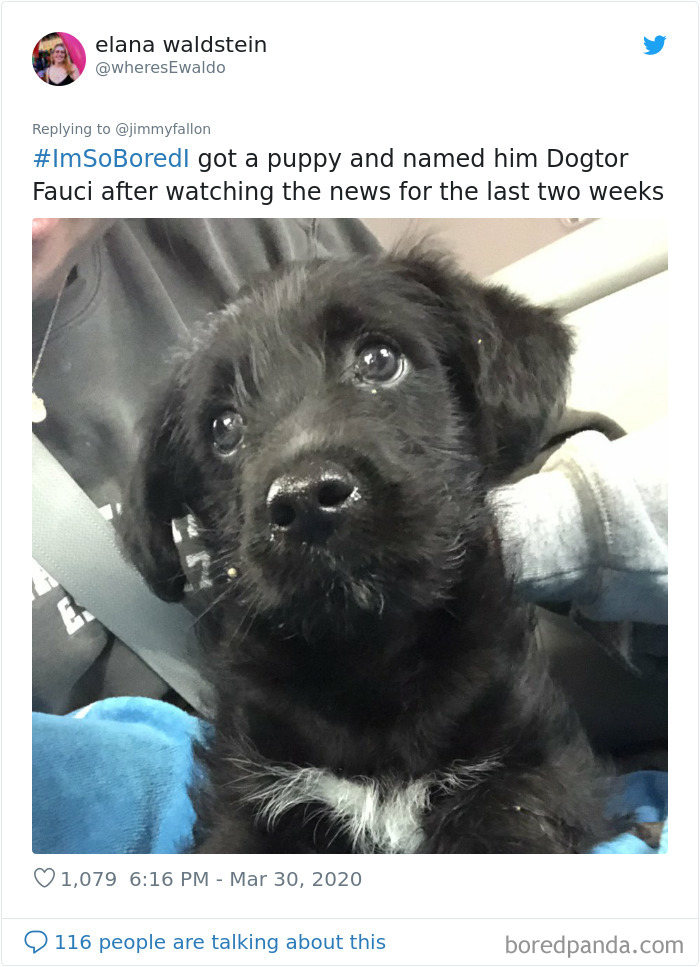 Im-So-Bored-Quarantine-Tweets-Jimmy-Fallon